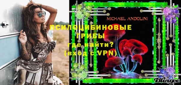 меф Гусь-Хрустальный