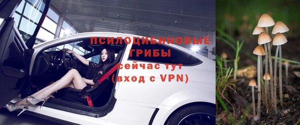 соль курить ск Дмитровск
