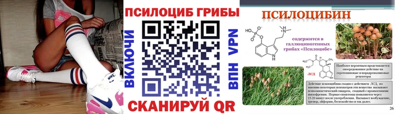 Галлюциногенные грибы Magic Shrooms  Купить  Зеленокумск 